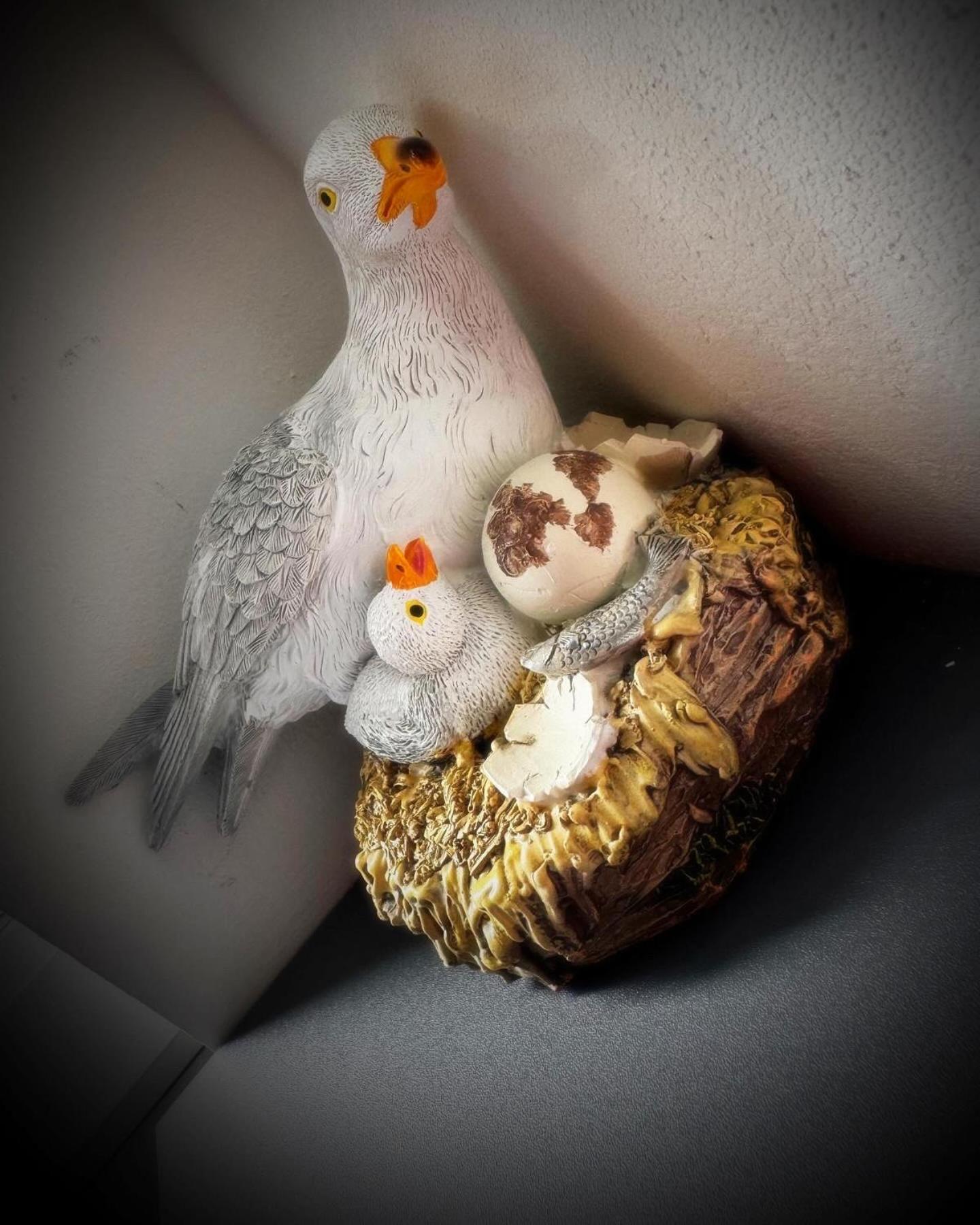 Melville House - Pet Friendly Blackpool Kültér fotó
